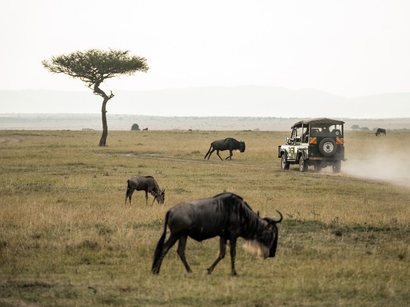 7 Days Serengti Migration Safari1